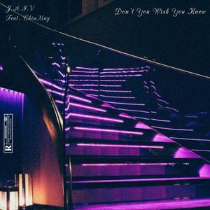 Don't You Wish You Knew (Explicit)