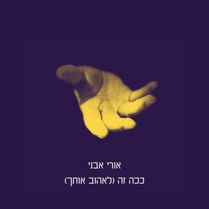 ככה זה (לאהוב אותך)