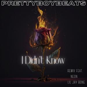 I Didn't Know (feat. NEON & Lil Jay Bone) [REMIX]