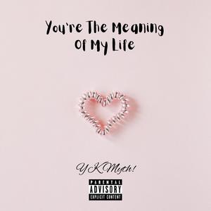 Wasted (feat. Luke XI & BABYMUSK) (Remix|Explicit)