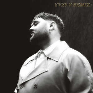 Fall in Your Arms (Remix)