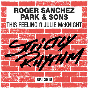This Feeling (feat. Julie McKnight) (Dub)