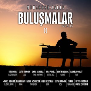 Buluşmalar, Vol. 2 (Nexus)