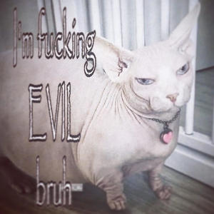 EV!L SH!T (Explicit)