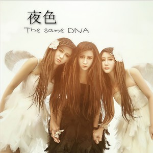 夜色 (国语女声版)