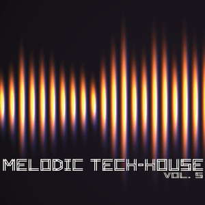 Melodic Tech-House, Vol. 5