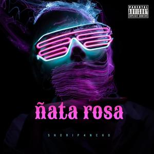 ñata rosa