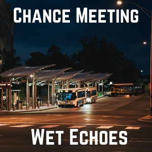 Chance Meeting