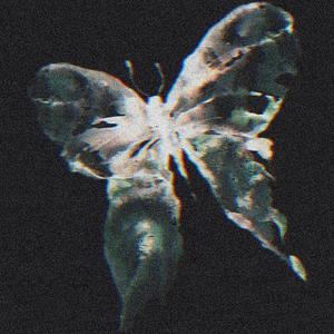 Butterfly (feat. 1600cp) (Explicit)