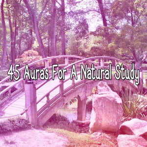 The Dawn Chorus of Binaural Beats