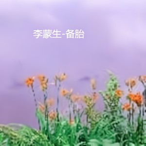 备胎 (伴奏)