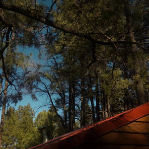 all that i want (feat. jlee) (Explicit)