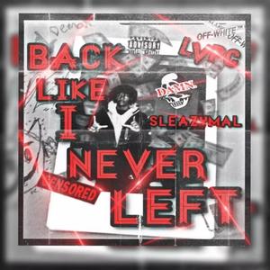 Back Like I Never Left (Explicit)