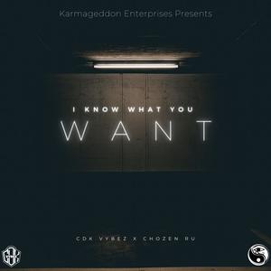 I Know What You Want (feat. CDK Vybez) [Explicit]