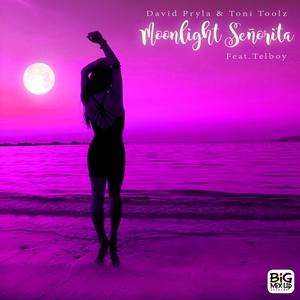 Moonlight Señorita (Remixes)