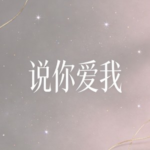 说，你爱我 (lo-fi氛围版)