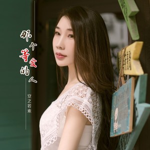 那个等爱的人封面