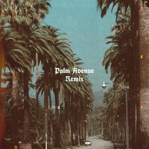 PALM AVENUE (feat. Harry M.) (Remix|Explicit)