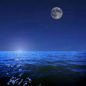 木木 - 时雨 - 徐梦圆