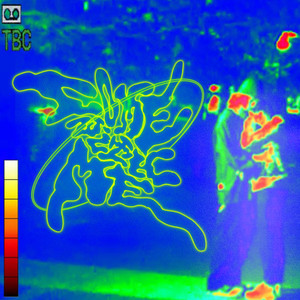 Come With Me (Explicit)