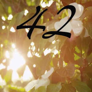 42 - Tribute to Mumford And Sons (Instrumental Version)