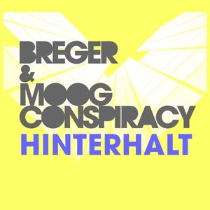 Hinterhalt (Orginal Mix)
