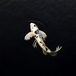 Piece From The Seams