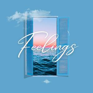 Feelings (feat. Kaaridas) [Explicit]