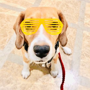 等你回电 (Prod by GOAT MUSIC)