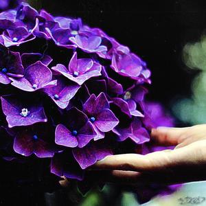 i wrote this song for you