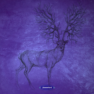 At Night (Original Mix)