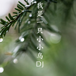 热度不断封面