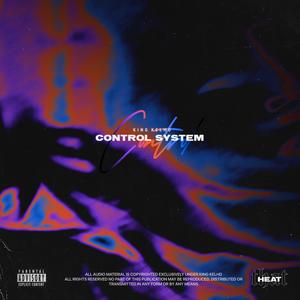 Control System (Explicit)