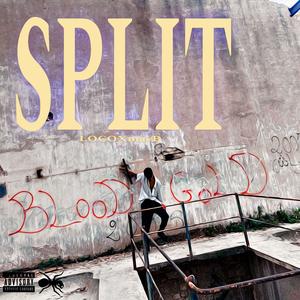 SPLIT (feat. MayB)