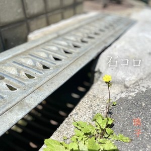 石コロ
