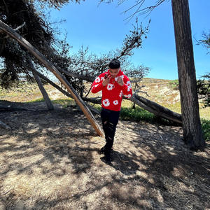 Important (Explicit)