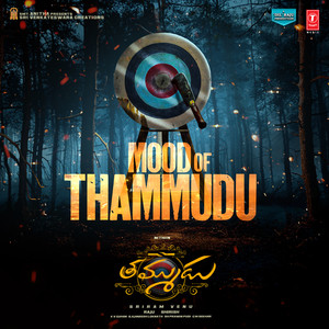 Mood Of Thammudu (From 