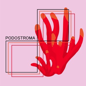 PODOSTROMA