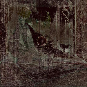 Many Reasons (Slowed N Reverbed) (Explicit)