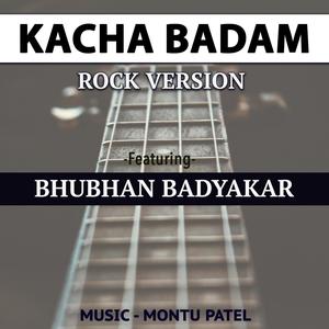 Kacha Badam (feat. BHUBHAN BADYAKAR)