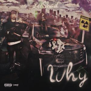 Why (Explicit)
