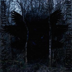 Angel (feat. silentcxbin) (Explicit)