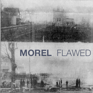 Flawed EP