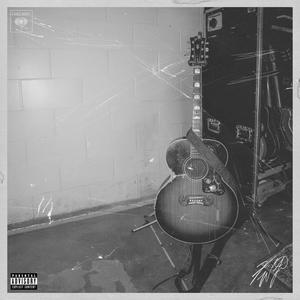 Live from the Damn Near Normal Tour (Explicit)