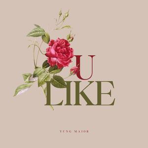 U Like (Radio Edit)