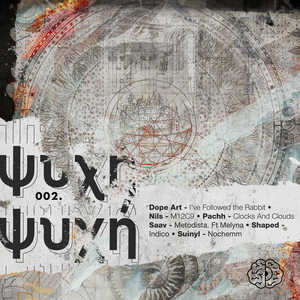 I ve Followed The Rabbit