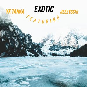 Exotic (feat. Jeezy6chi) [Explicit]