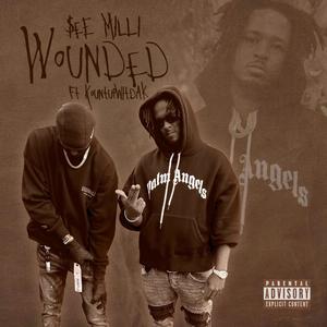 Wounded (feat. Kountupwitdak) (Explicit)