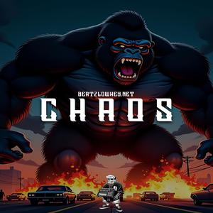 Chaos