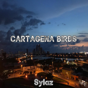 Cartagena Birds